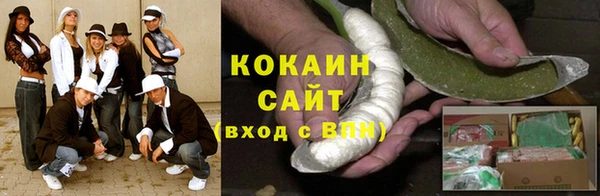 прущие грибы Богданович