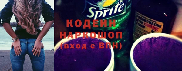 шишки Белокуриха