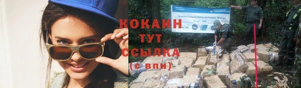 2c-b Богородицк