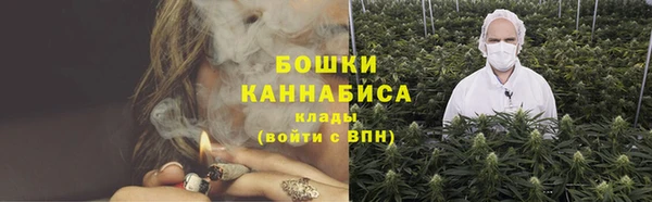 прущие грибы Богданович