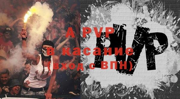 прущие грибы Богданович