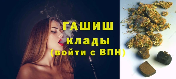 шишки Белокуриха