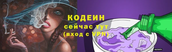 шишки Белокуриха