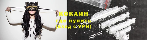 шишки Белокуриха