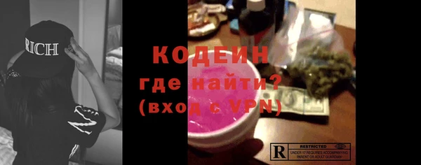прущие грибы Богданович