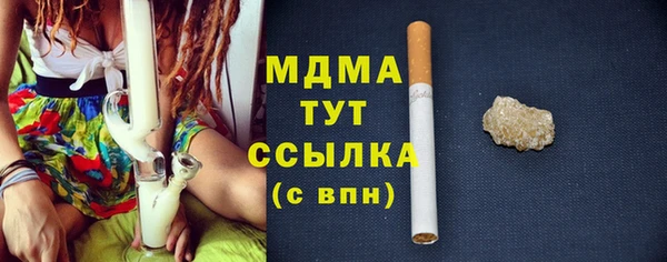 шишки Белокуриха