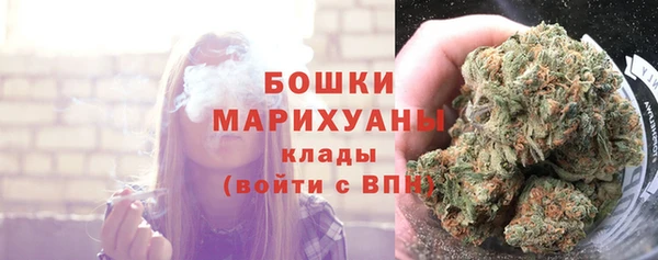 шишки Белокуриха